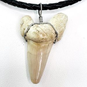Vintage Large Cream Natural Shark Tooth on Black Braided Cord 18 inch Necklace